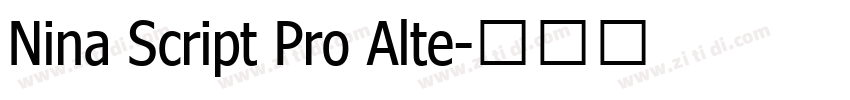 Nina Script Pro Alte字体转换